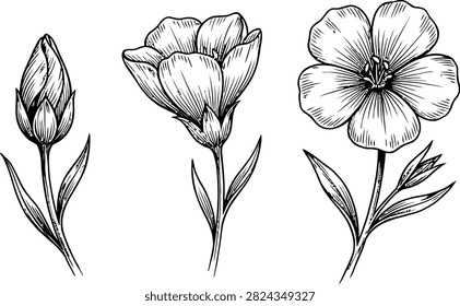 A set three hand