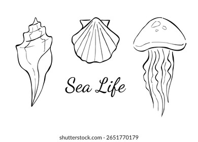 Conjunto de três esboços de tinta desenhados à mão de conchas marinhas e águas-vivas com texto Sea Life. Ilustrações de linha vetorial isoladas no plano de fundo branco. Design de impressão com criaturas oceânicas.