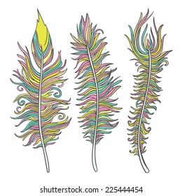 Set of three hand-drawn vector feathers