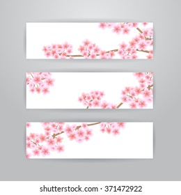 Set of three horizontal banners with sakura branch on white background. Spring time banners