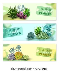Set of three horizontal banners with succulents and plants with watercolor stains on a white background. Succulents banners. Vector illustration
