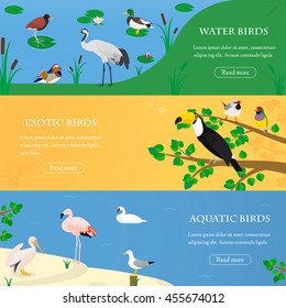 Set of three horizontal flat banners with exotic and water birds from different habitats. Vector illustration.