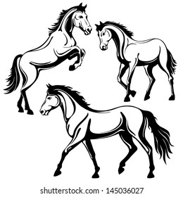 Set of three horses. Black white picture, isolated on white background, vector illustration.