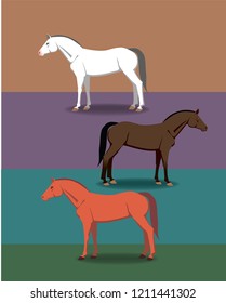 Set of three horses with different coats: white, chestnut and red