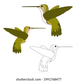 Set of three
hummingbirds  coloured and an outline for colouring with cartoon eyes