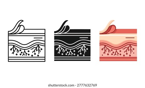 A set of three icons showing a cross section of human skin layers including epidermis, dermis, and subcutaneous tissue in line, solid, and colored styles.