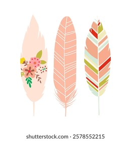 SET OF THREE ILLUSTRATED FEATHERS