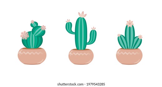 A Set Of Three Indoor Cactus Plants In Pots. Vector Illustration Isolated Background. Concept For Floristic Brochures, Advertising, Typography
