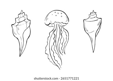 Conjunto de três esboços de tinta de águas-vivas e conchas isoladas sobre fundo branco. Ilustrações de linha de vetor de vida subaquática para impressão de t-shirt, banner web, adesivos, scrapbook.