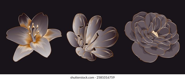 Set of three isolated golden flowers lily, clivia and rose. Floral vector element for creating patterns, cards, invitation, design.