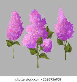 Set of three isolated lilac flower branches on a gray background. Bright purple blossoms with green leaves in a flat vector style. Perfect for spring designs, greeting cards.