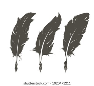 set of three isolated old feathers for writing