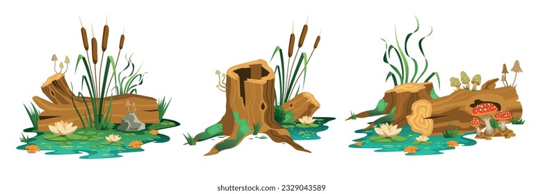 Set of three isolated swamp forest compositions with views of wild marsh stubs trunks and mushrooms vector illustration