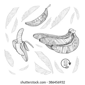 A set of three kinds of bananas. A bunch of bananas. One banana. Open banana. Bananas with ethnic ornament.
