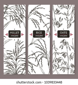 Set of three labels with Asian rice, Proso millet and oats sketch. Cereal plants collection. Great for bakery, agriculture, farming design.