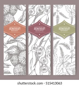 Set of three labels with bergamot, peppermint and eucalyptus sketch. Aromatherapy series. Great for traditional medicine, perfume design, cooking or gardening labels.