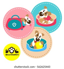 The set of three labels with funny dogs Jack Russell Terrier in  bed. Accessories for dogs. Vector illustration.