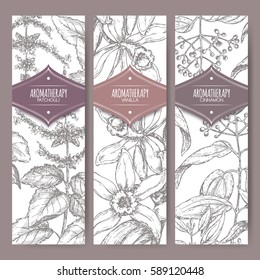 Set of three labels with patchouli, vanilla and cinnamon. Aromatherapy series. Great for traditional medicine, perfume design, cooking or gardening labels.