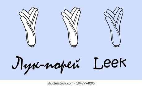 A set of three leek objects with the inscription "leek" in Russian and English. Simple vector illustration, eps