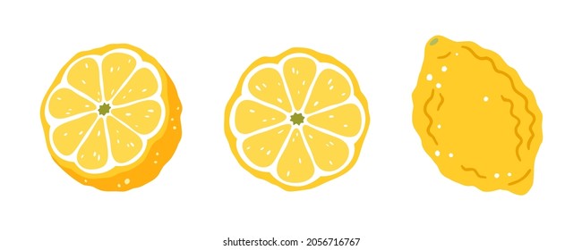 Set of three lemons on a white background. Vector illustration