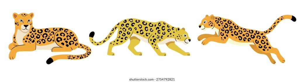 Set with three leopards in different poses, resting, walking, and jumping. Wild animal collection