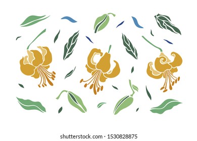Set of three lily flowers. Isolated flowers for design of cards, invitations, textures. Vector illustration.