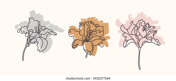 Set of three lily flowers. Isolated flowers for design of cards, invitations, textures. Vector illustration.