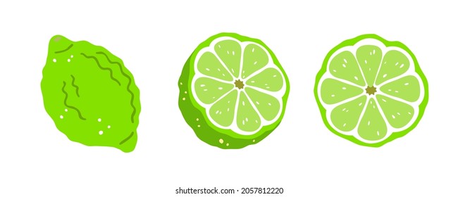 Set of three limes on a white background. Vector illustration