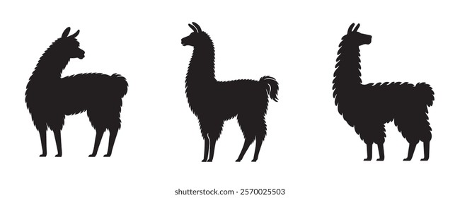 Set of three llama silhouettes in standing poses, showcasing their woolly texture and upright ears on a plain gray background