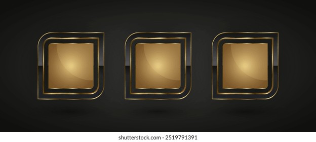 Set of three Luxury special geometrical shape of symbol with gold stoke around it used for high level and premium value concepts, vector illustration design