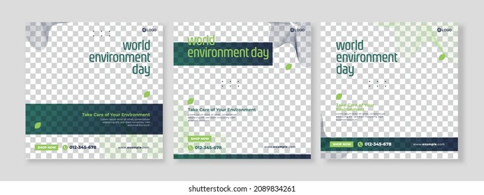 Set of three minimalist background of plant a tree of nature promotion banner social media pack template premium vector