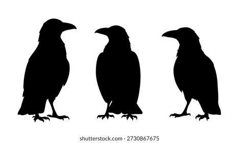 Set of three minimalist black crow silhouettes in perched, standing poses — side, front and three-quarter view