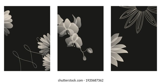 A set of three minimalist pastel posters. Backgrounds for social networks, web design, interiors. Vintage cute illustrations with flowers, plants, leaves from thin white lines on a black background.