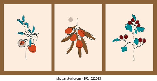 A set of three minimalist pastel posters. Backgrounds for social networks, web design, interiors. Vintage cute illustrations with peach, kumquat, leaves from thin black lines on a neutral background.