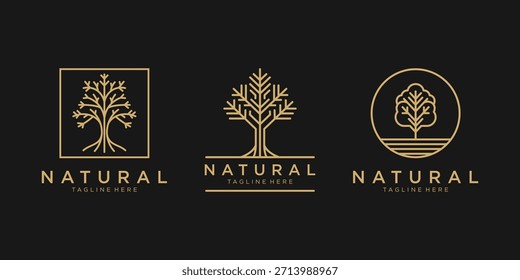 Conjunto de tres diseños minimalistas del logotipo del árbol