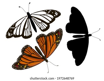 Set of three Monarch Butterflies - orange in cartoon style, black silhouette and doodle style. Stock vector illustration isolated on white background.
