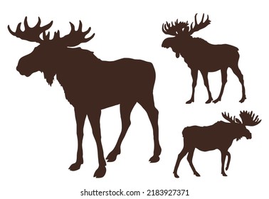 Set of three moose silhouettes