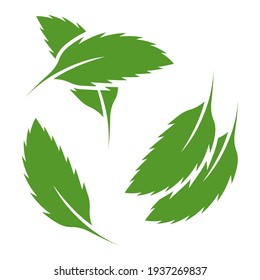 A set of three multicolored mint leaf icons in different locations. Image of a single sheet, two parallel sheets and two crossed sheets. Isolated vector on white background.