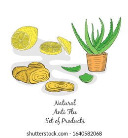 Set with Three Natural Products for Flu Treatment. Hand Drawn Line Illustration of Lemon, Ginger Root and Aloe Vera on White Background. Natural Food for Healthy Lifestyle.