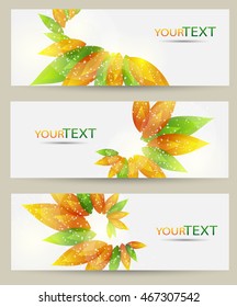 Set of three nature vector banners with floral elements and place for text. Eps 10