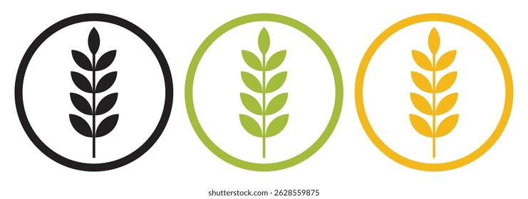 Set of three oat icon collection. Malt plant icon symbol. Wheat icons vectors graphics collection.