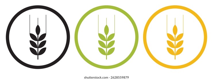 Set of three oat icon collection. Malt plant icon symbol. Wheat icons vectors graphics collection.