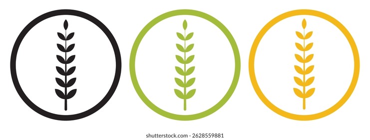 Set of three oat icon collection. Malt plant icon symbol. Wheat icons vectors graphics collection.