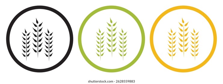 Set of three oat icon collection. Malt plant icon symbol. Wheat icons vectors graphics collection.