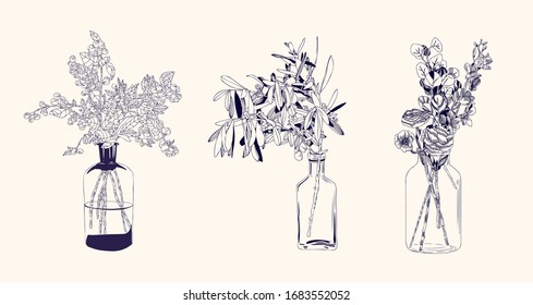  Establecer. Tres opciones de ramos en jarrones. ilustración vectorial de líneas