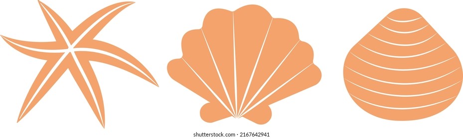 Set of three orange seashells. Isolated marine collection on white background.