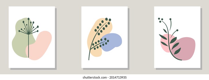Set of three pastel colour abstract modern posters with colour blobs and plants