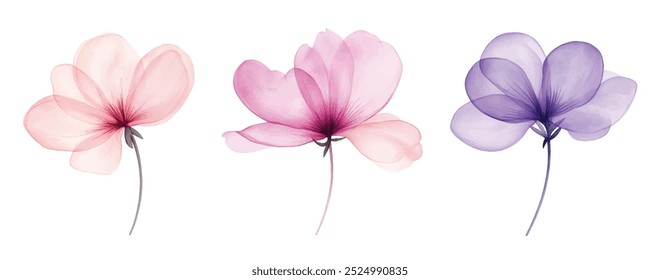 Set mit drei pastellrosa und lavendelfarbenen Aquarellblumen