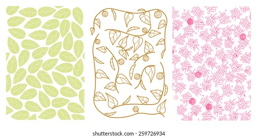 Set of three patterns with nature elements, leaves, branches and raspberry