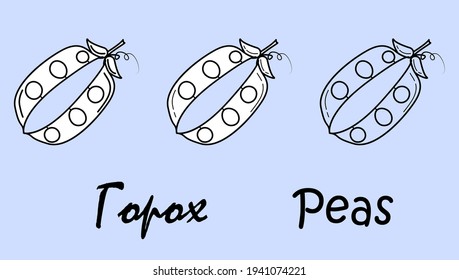A set of three peas objects with the inscription "peas" in Russian and English. Simple vector illustration, eps